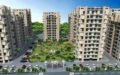 Top society for rent a flat in zirakpur